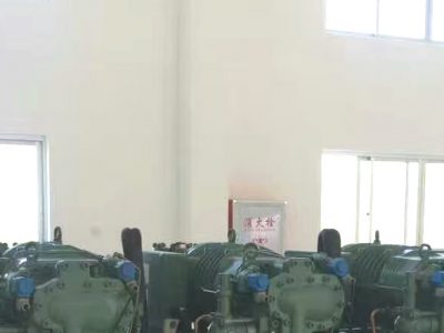 比泽尔螺杆双级配打机组