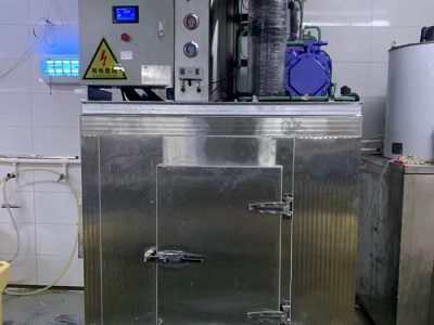 淡水片冰机
